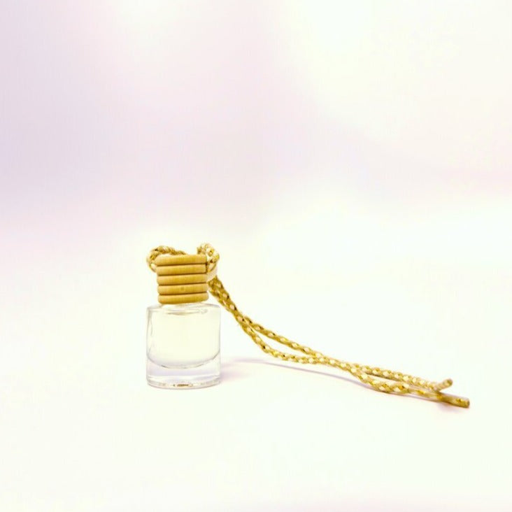 Cinnamon Car Diffuser