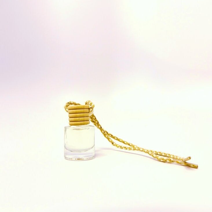Ginger & Spice Car Diffuser